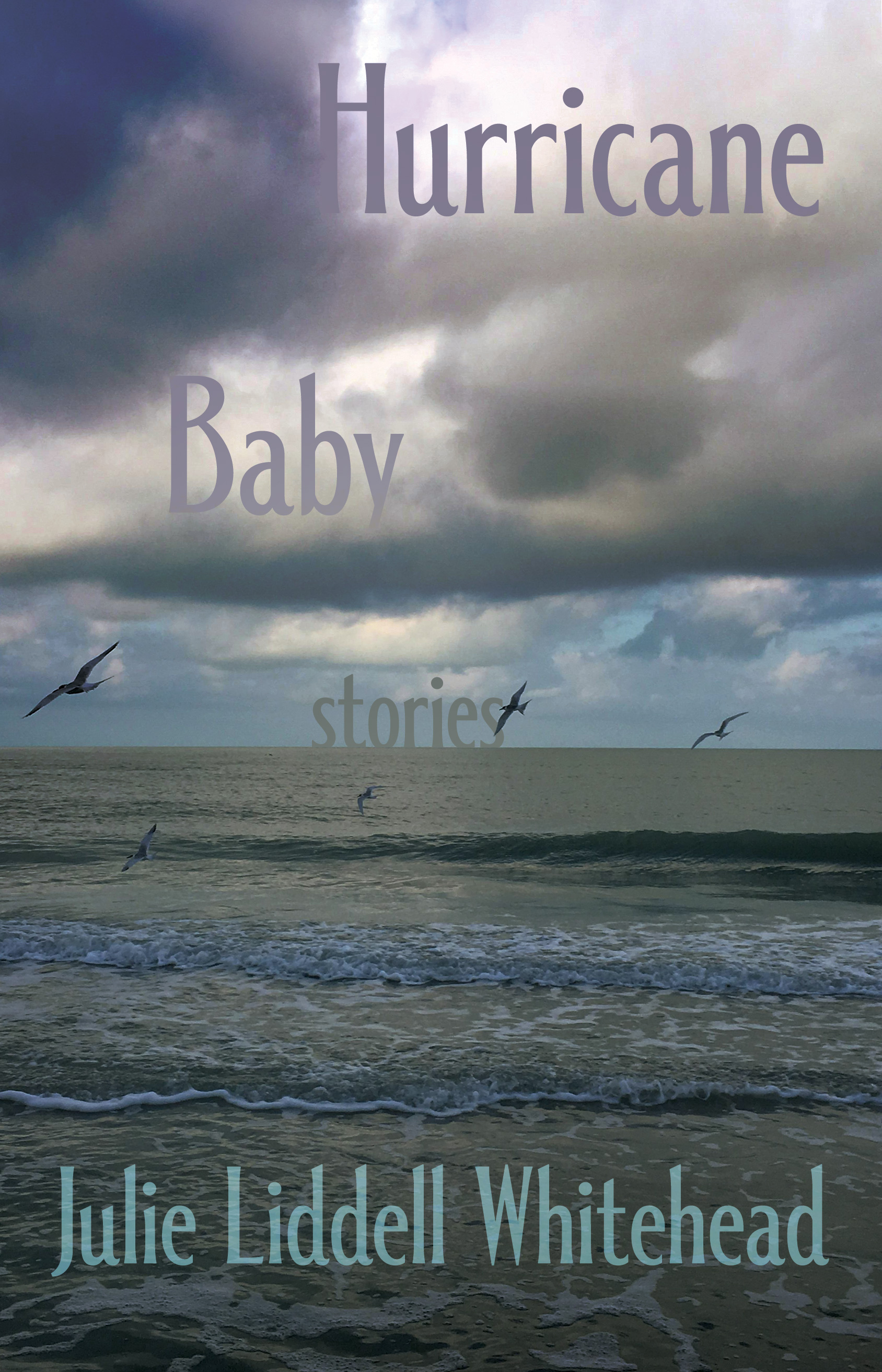 Blue and gray seascape photograph with the title Hurricane Baby: Stories