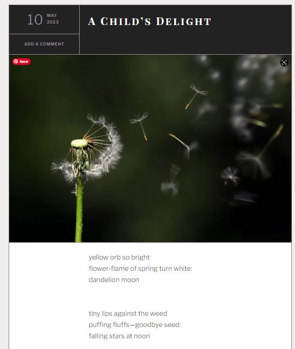 a poem about dandelions