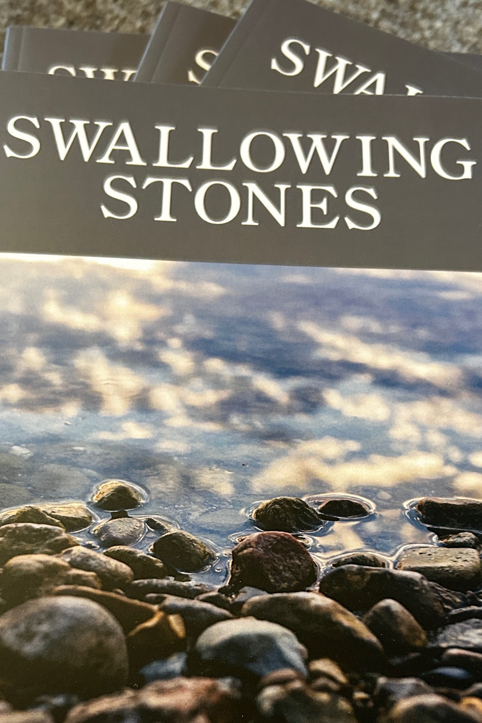 Swallowing Stones cover