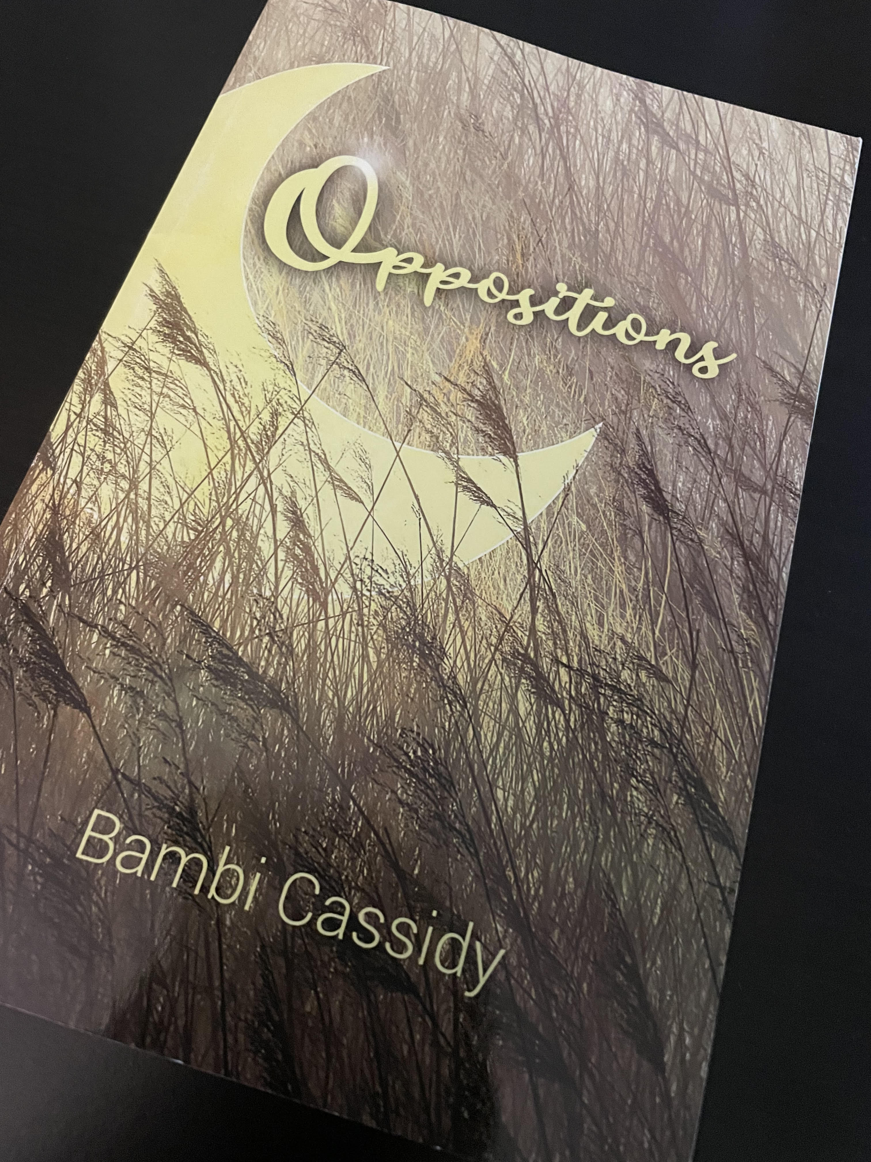 Oppositions Book Cover