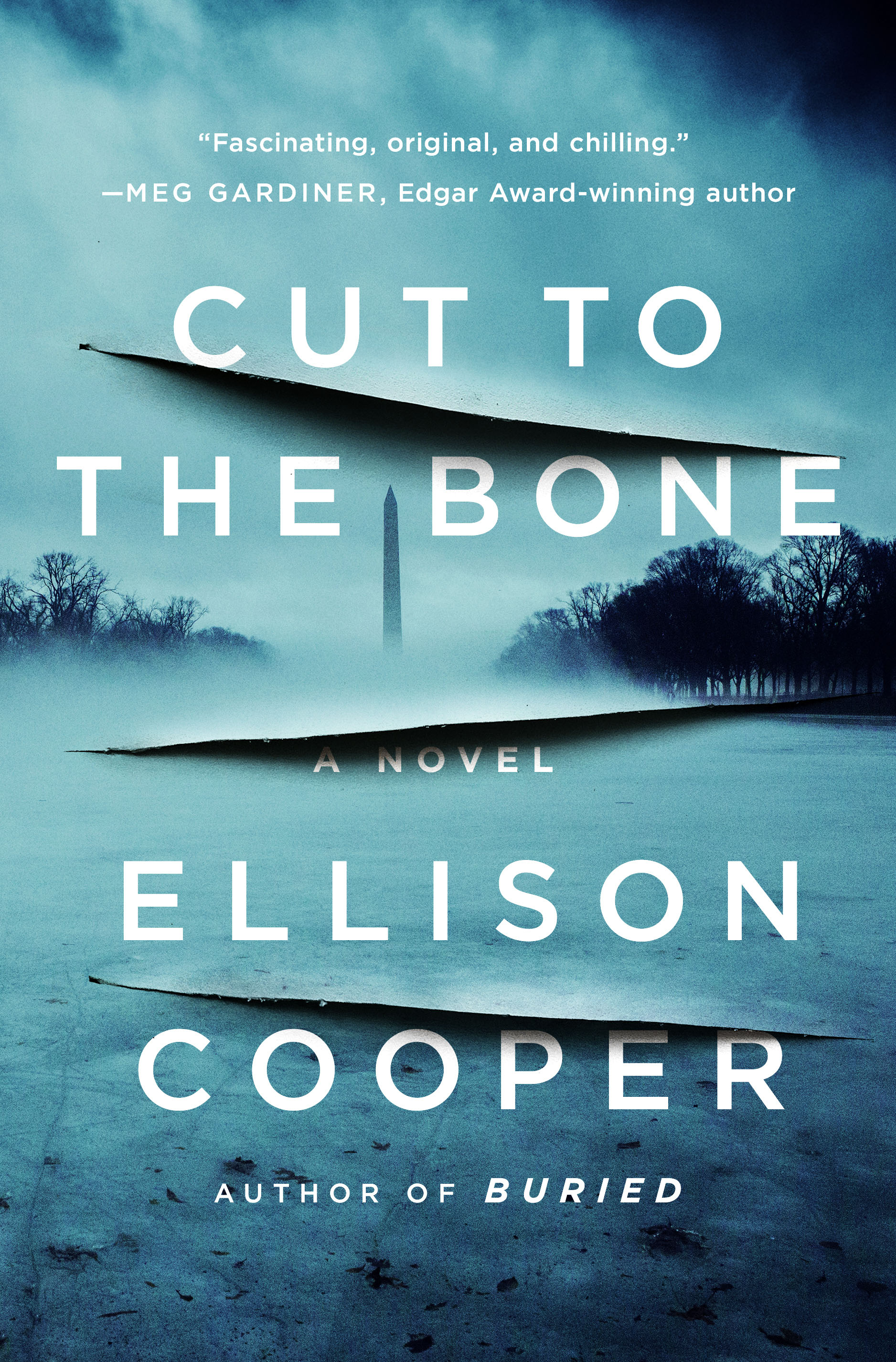 Cut to the Bone Cover by Ellison Cooper