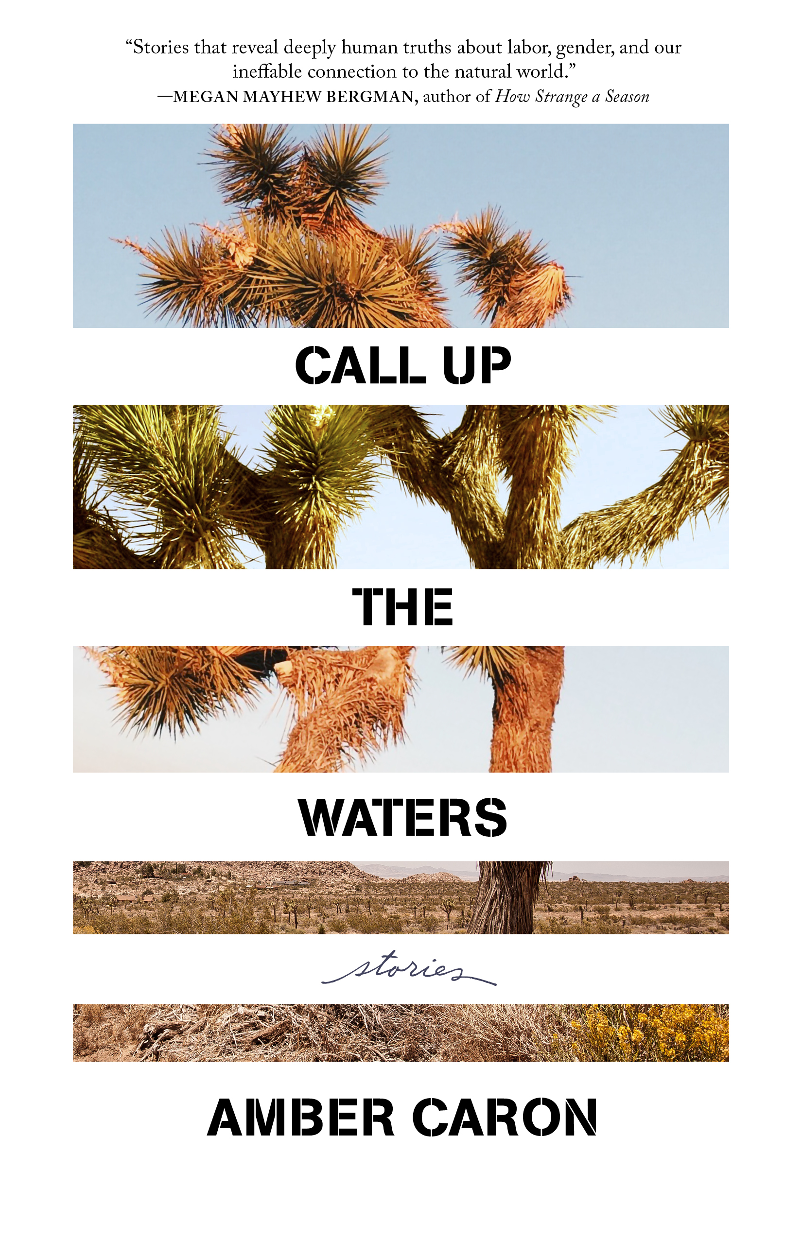 Cover for Call Up the Waters