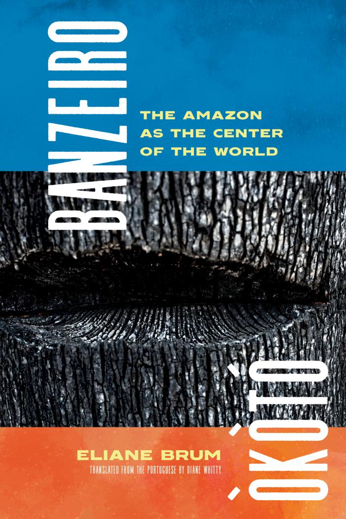 Cover of the book "Banzeiro Òkòtó." Across the center: close-up black and white photograph of a tree trunk with gash resembling a mouth. It is framed by a wide blue strip at the top and orange stripe at the bottom.
