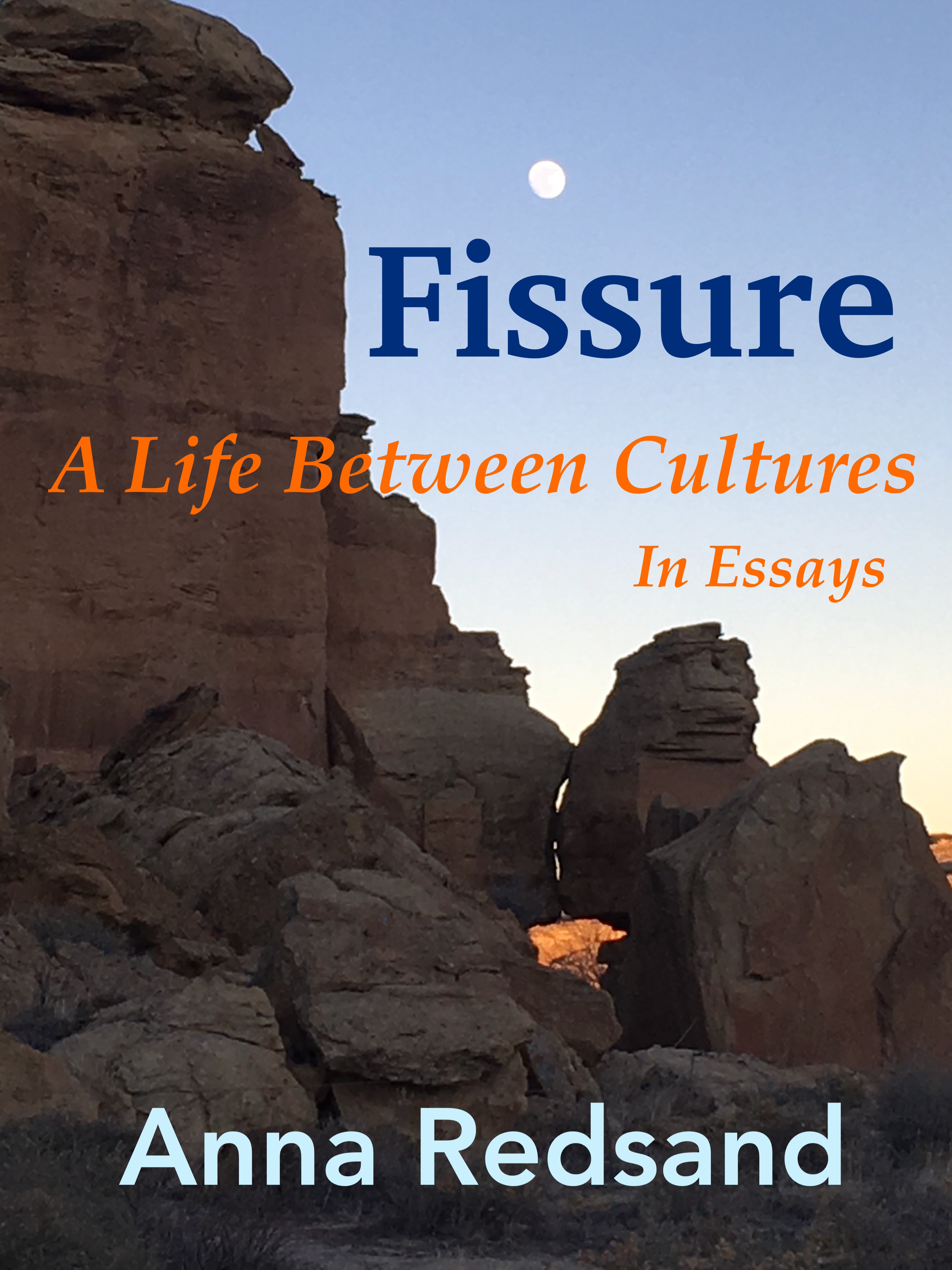 Fissure book cover