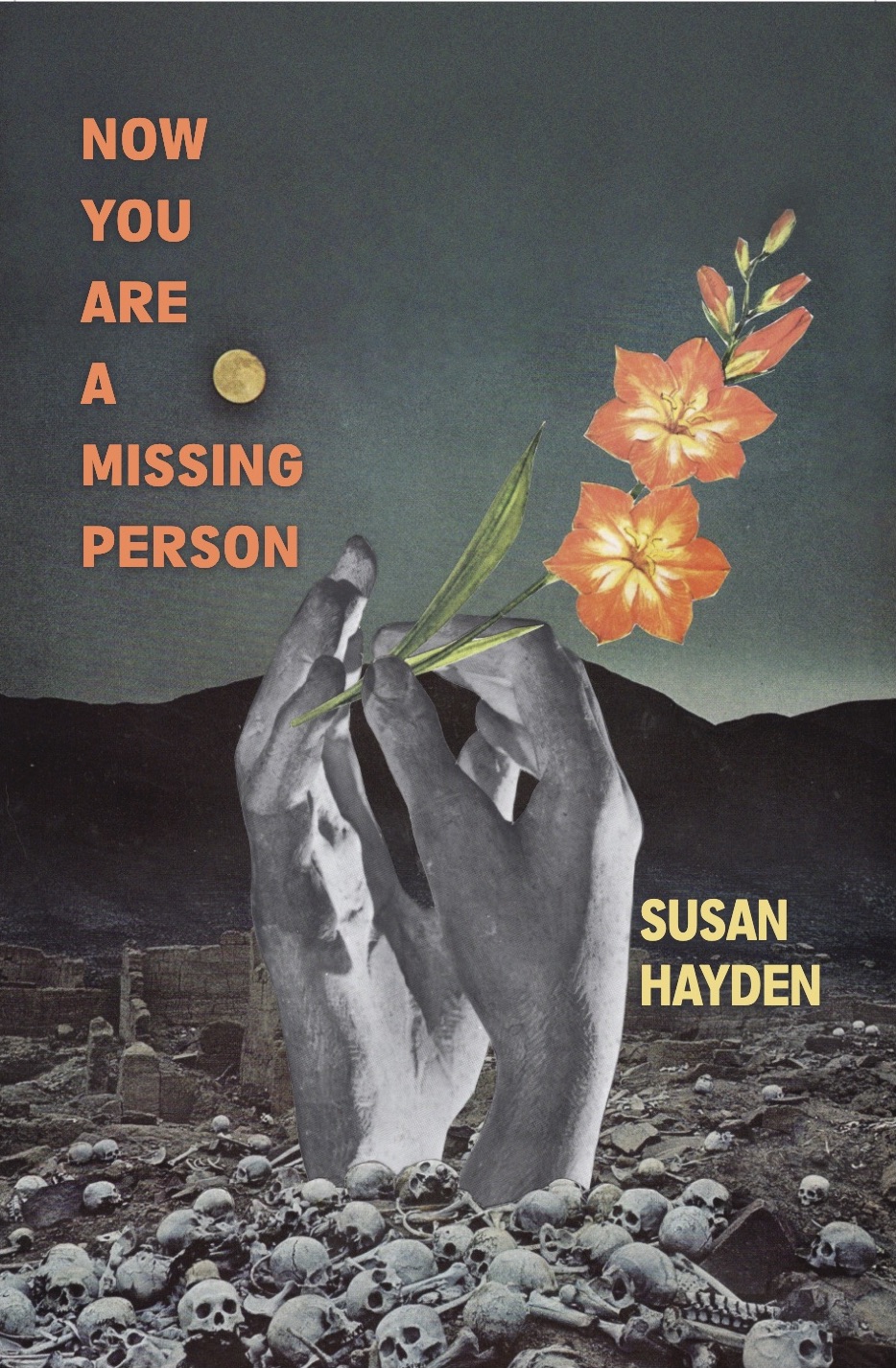 Now You Are a Missing Person Book Cover