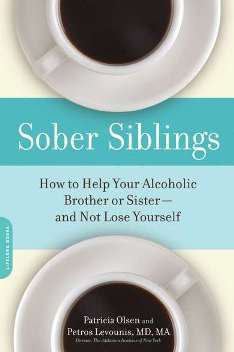 Cover of Sober Siblings