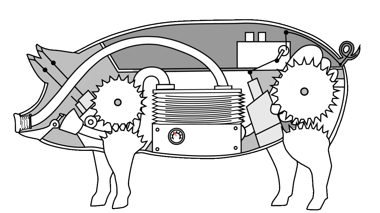 Rosellini's 1737 Mechanical Pig