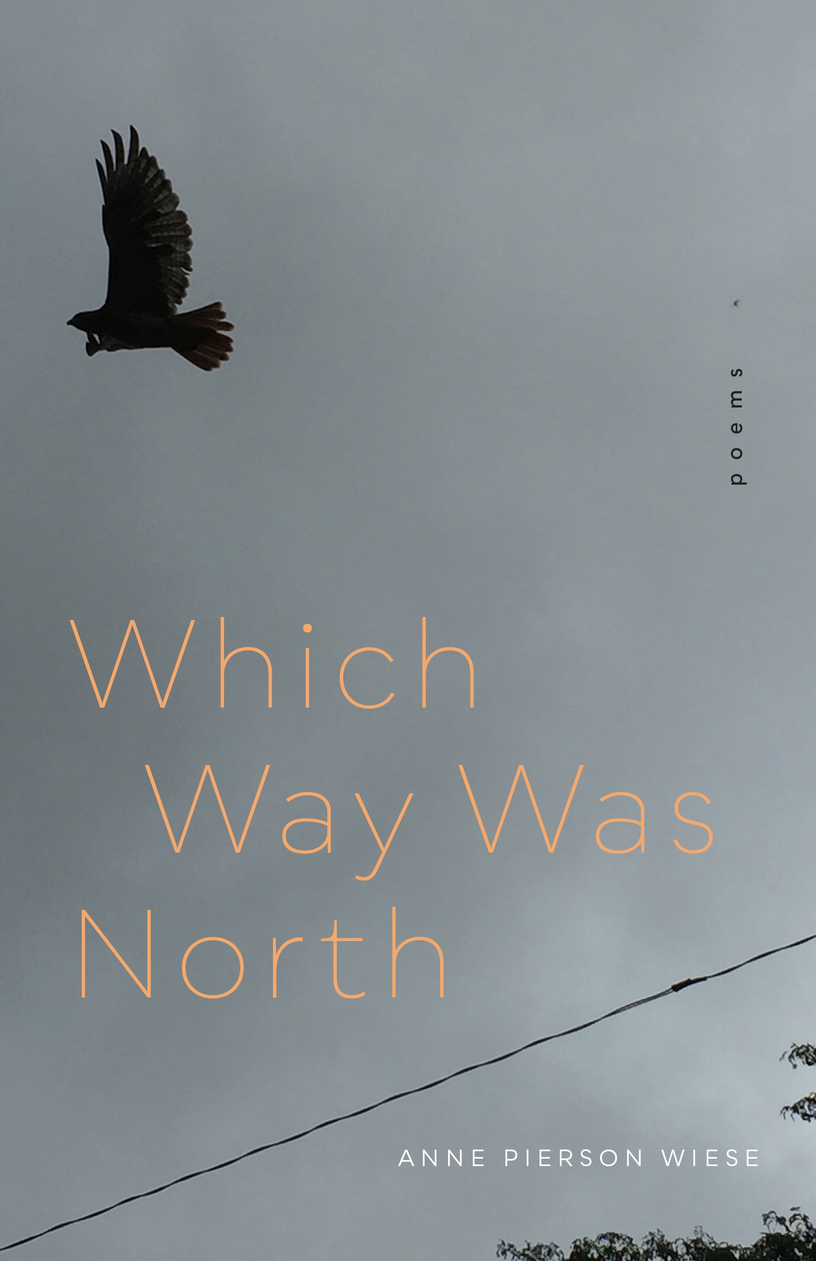 Which Way Was North poems