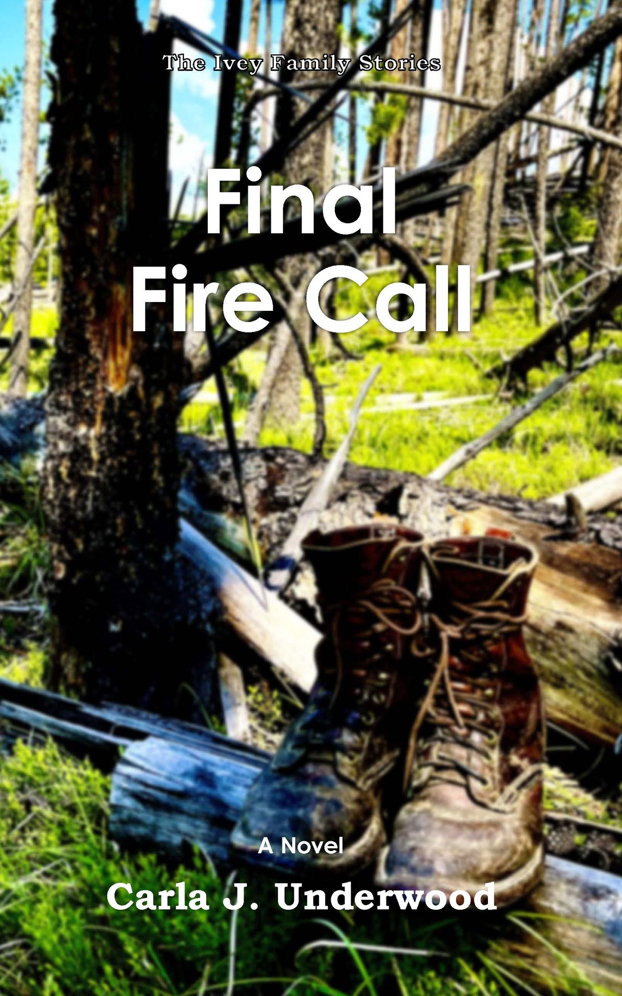 Final Fire Call