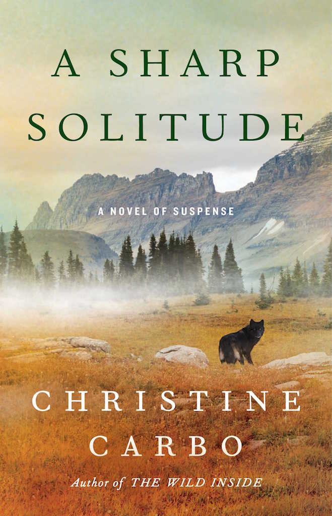 A Sharp Solitude, A Novel of Suspense cover photo
