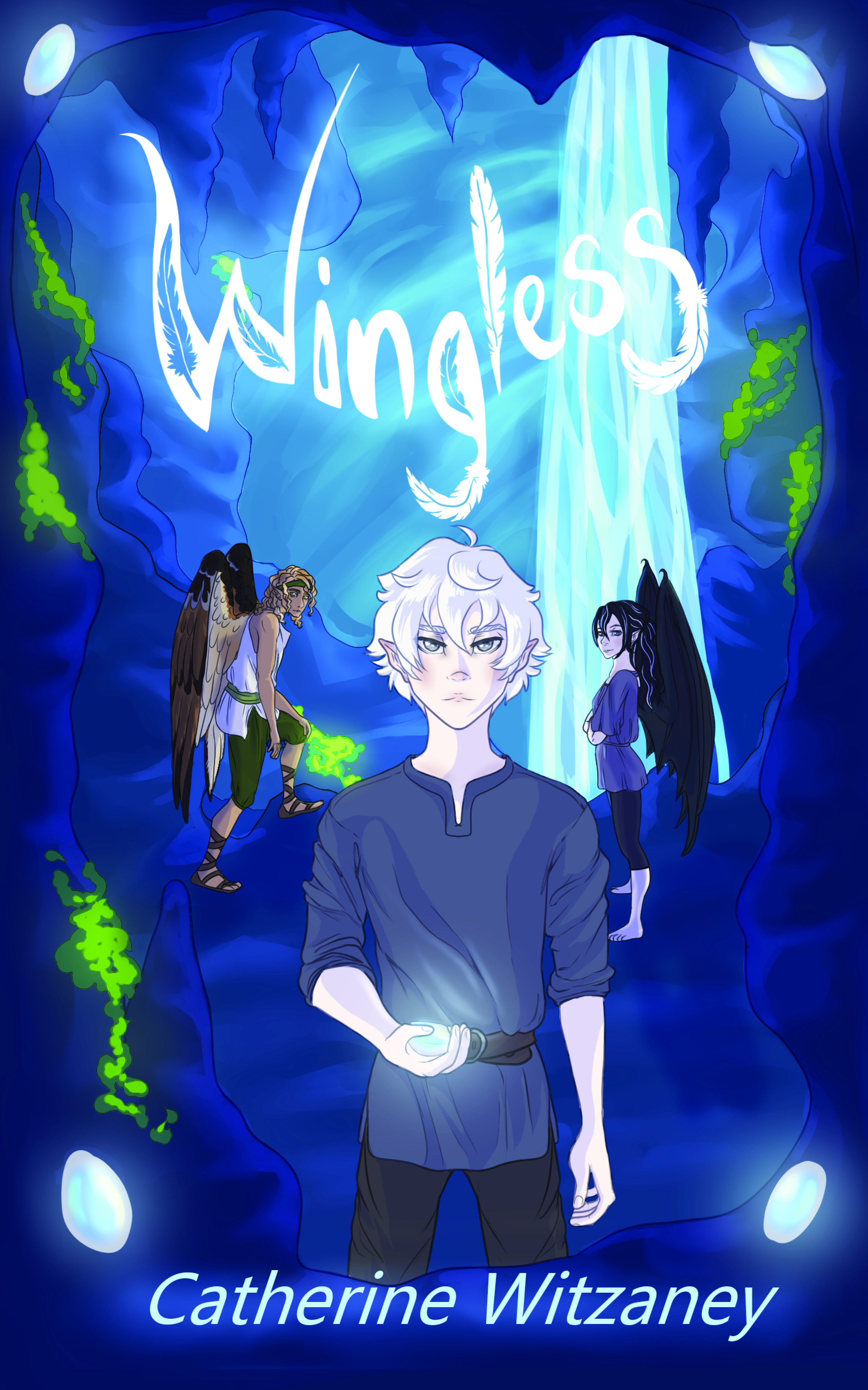 Wingless Book Cover