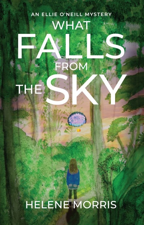 What Falls From the Sky Cover Image