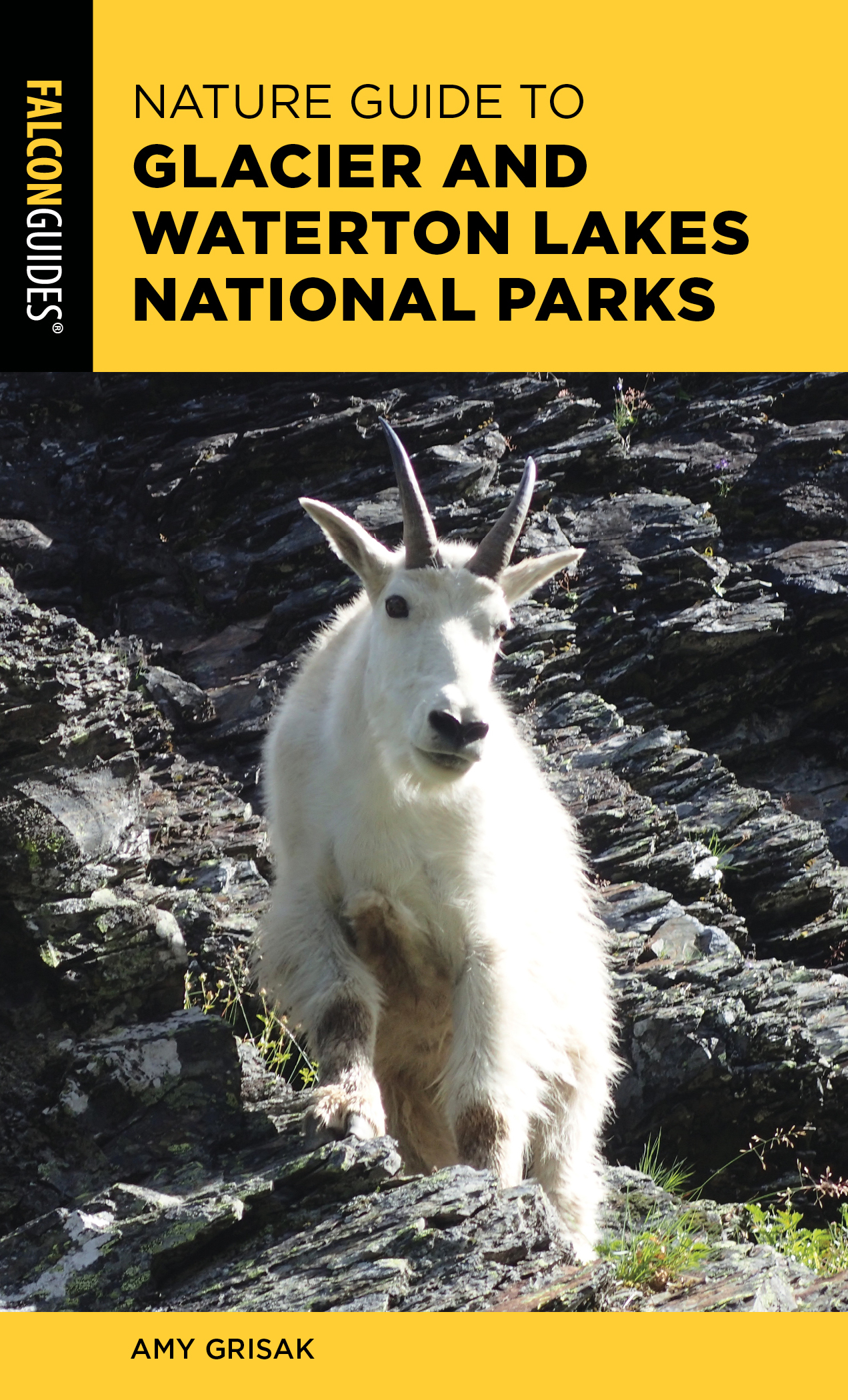 Nature Guide to Glacier and Waterton Lakes National Parks