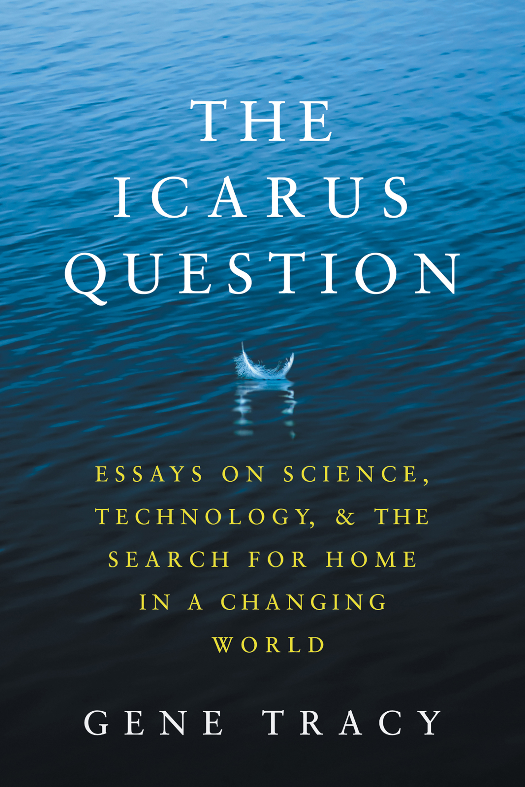 The Icarus Question cover image