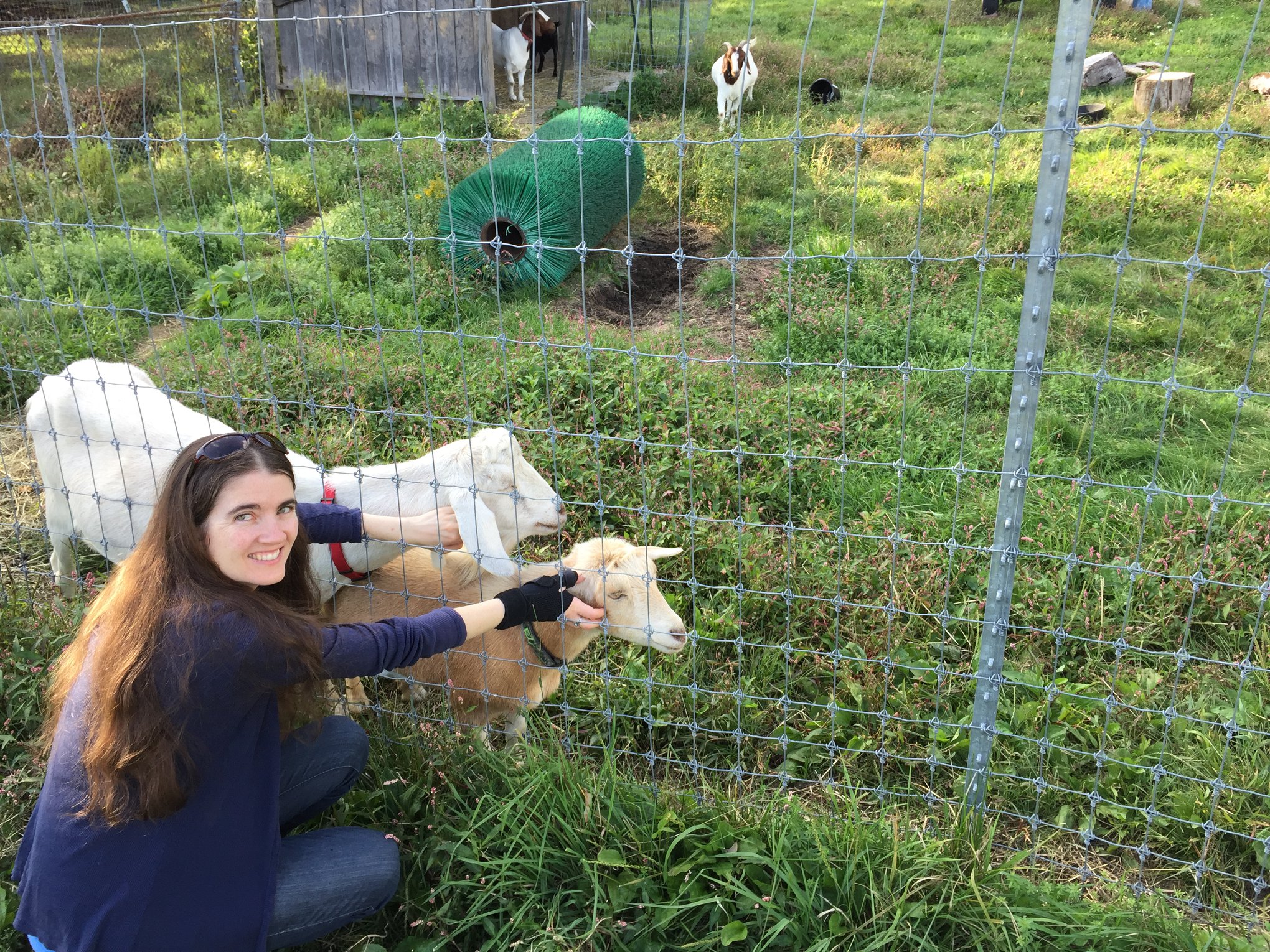 Author Laura Kiesel with goats