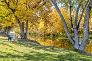 Trees and a bench in a restful spot in Boise, Idaho