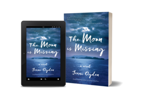 The Moon is Missing: A Novel